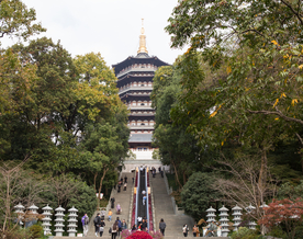 西湖 雷峰塔