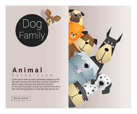 创意动物合成图片