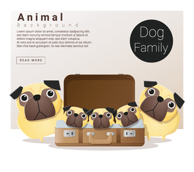 创意动物合成图片