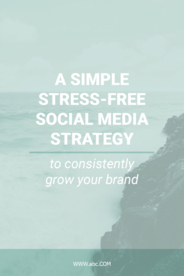 社交博文和Instagram