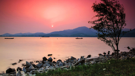 风景