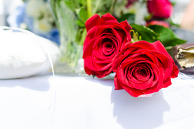 红玫瑰