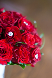 红玫瑰