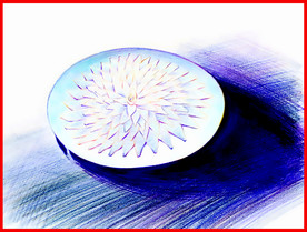 插画 甜品 糕点