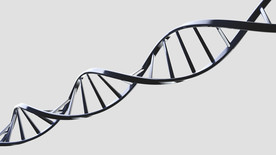 C4D 模型DNA 模型 基因