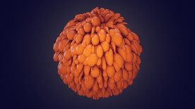 C4D模型 松软坍塌的气球