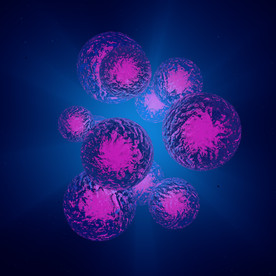 C4D 模型病毒细胞