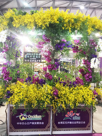 鲜花花朵花卉