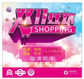 双11 双12购物节