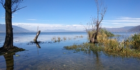 大理洱海