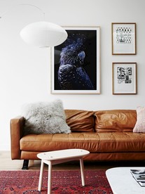 客厅 墙纸 展示