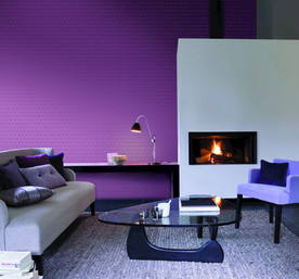 带壁炉的北欧客厅