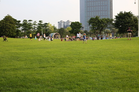草地