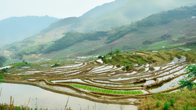 梯田