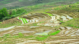 梯田