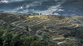 梯田