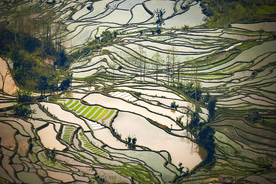 梯田