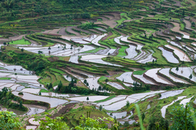 梯田