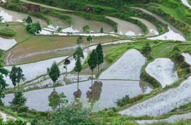 梯田