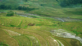 梯田