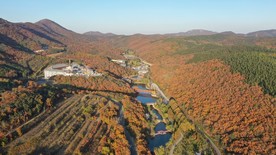 大连横山寺森林公园