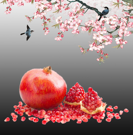 新鲜的石榴古风水墨桃花和鸟