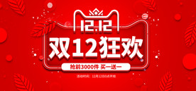 双11 双12购物节