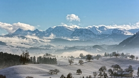 风景