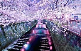 风景