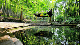风景