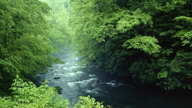 风景