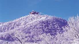 风景