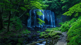 风景