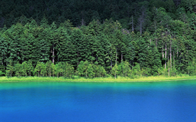 风景