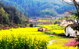 风景