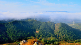 风景