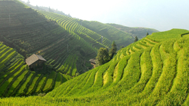 风景