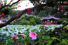 风景