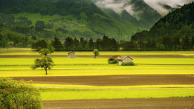 风景