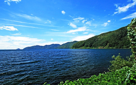 风景