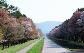 风景