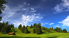风景