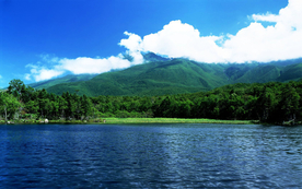 风景