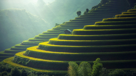 风景