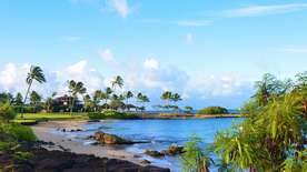 风景