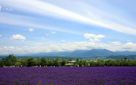 风景