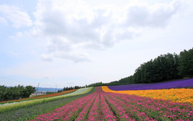 风景
