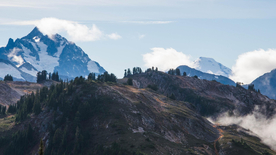 风景