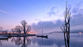 风景