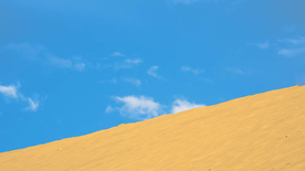 风景